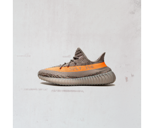 beluga v2 price