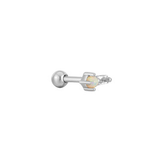 Oorknopje zilver 5 mm