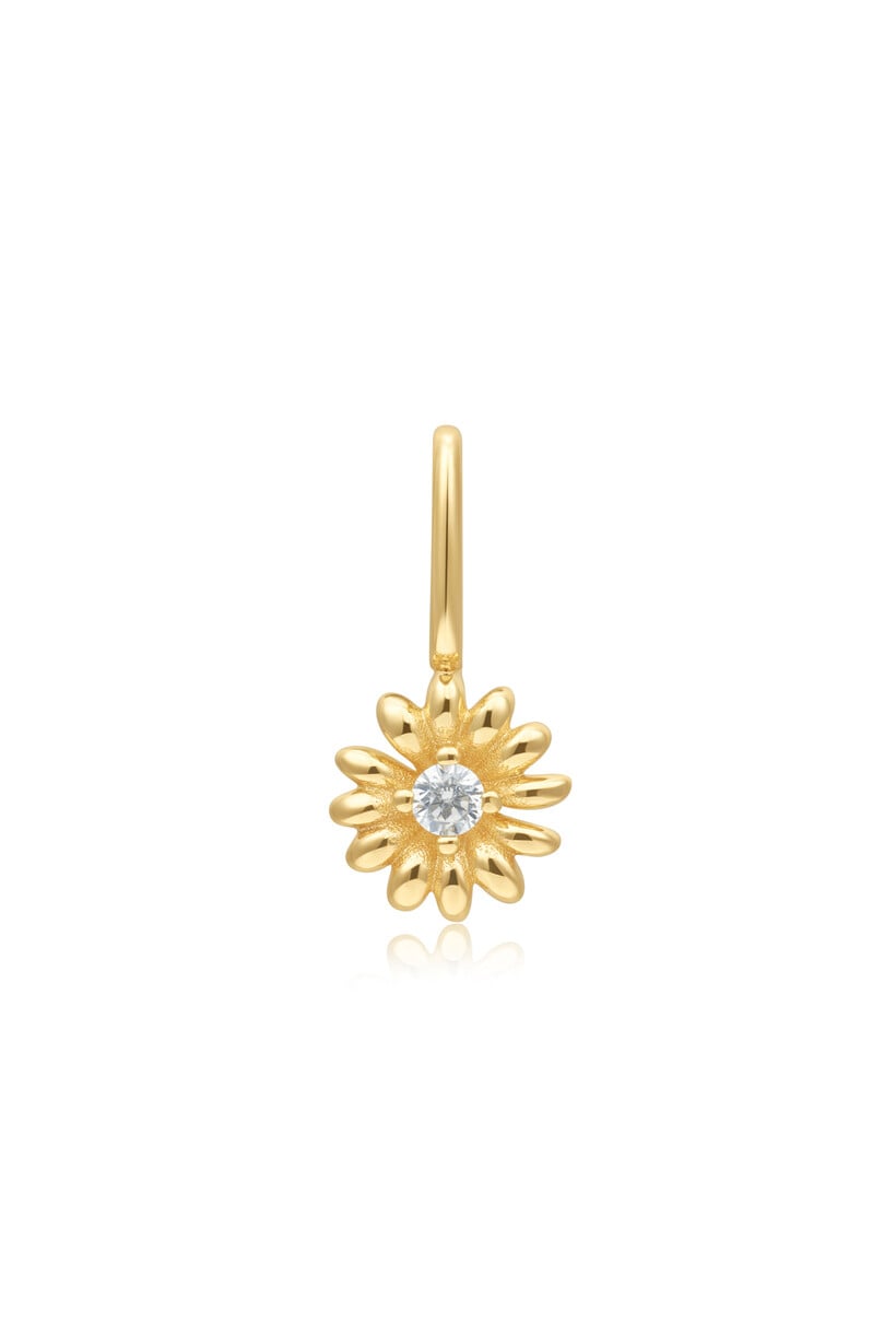 Daisy Bedel
