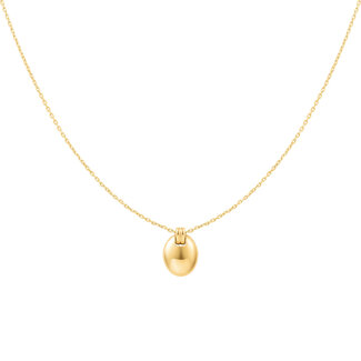 ovale schakelketting goudverguld 50 cm