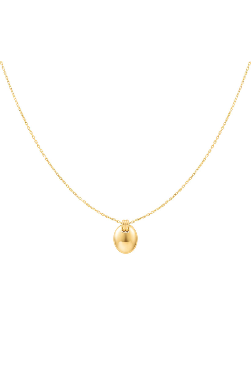 ovale schakelketting goudverguld 50 cm