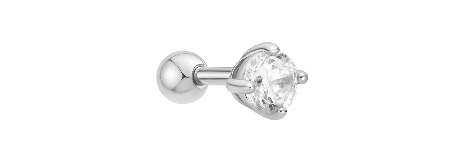 Silver RoundBarbell Single