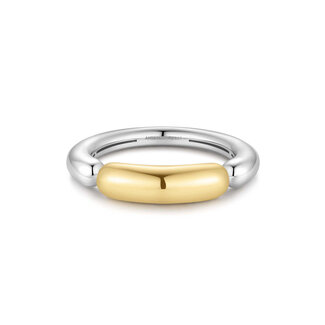 Puffy segmentring bicolor