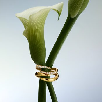 Ringen