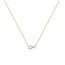 Ketting met duo van klauwgezette zirkonia goudverguld 45,5 cm