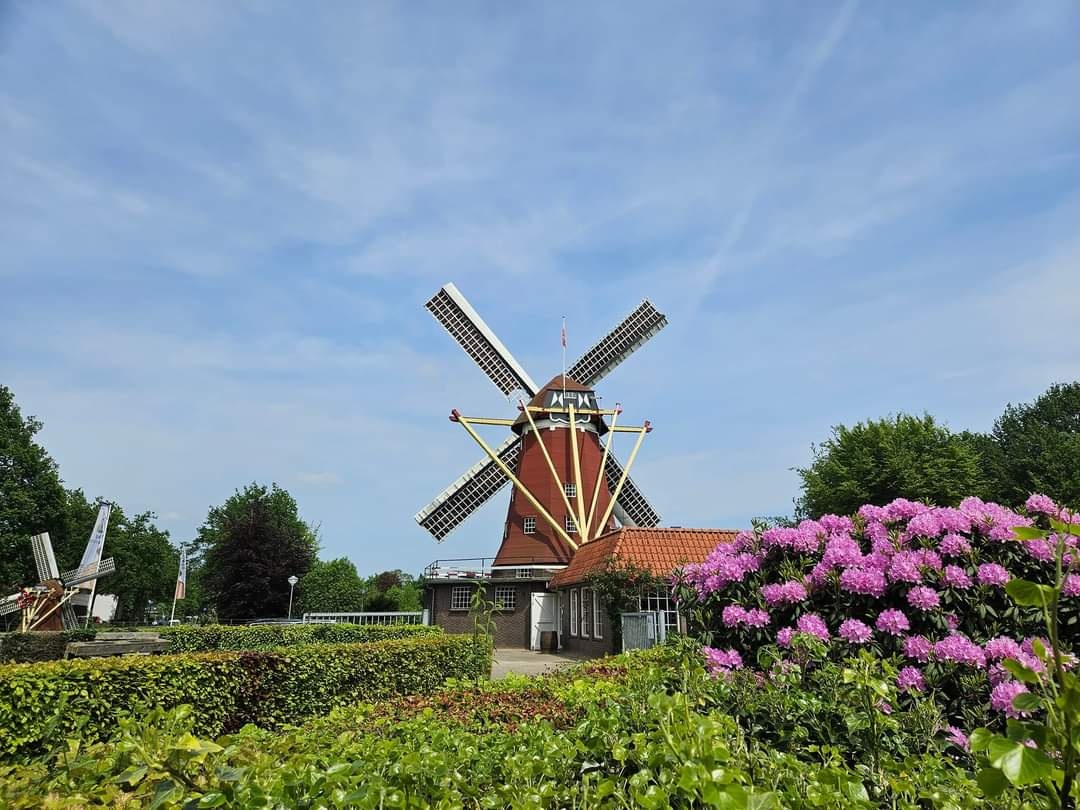 Moutmolen