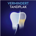 Oral-B Oral-B Pro-Expert Fresh Mint Mondwater - 250 ml