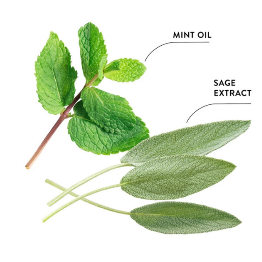 EcoDenta Ecodenta Brilliant Whitening Muntolie & Salie-extract Tandpasta - 100 ml