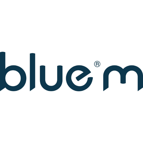 BlueM