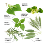 EcoDenta Ecodenta Multifunctional 7 Kruiden Tandpasta - 100 ml