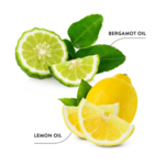 EcoDenta Ecodenta Exceptional Whitening Tandpasta - met Bergamot & Lemon Oil - 100 ml