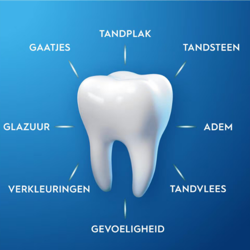 Oral-B Oral-B Pro-Expert Frisse Adem Tandpasta - 75 ml