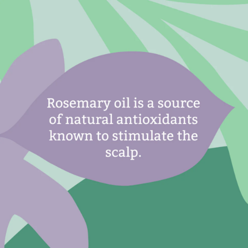 Faith in Nature Faith in Nature Rosemary Conditioner - Normaal Haar - 400 ml