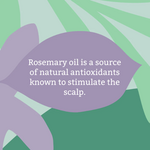 Faith in Nature Faith in Nature Stimulating Rosemary Shampoo - 400 ml