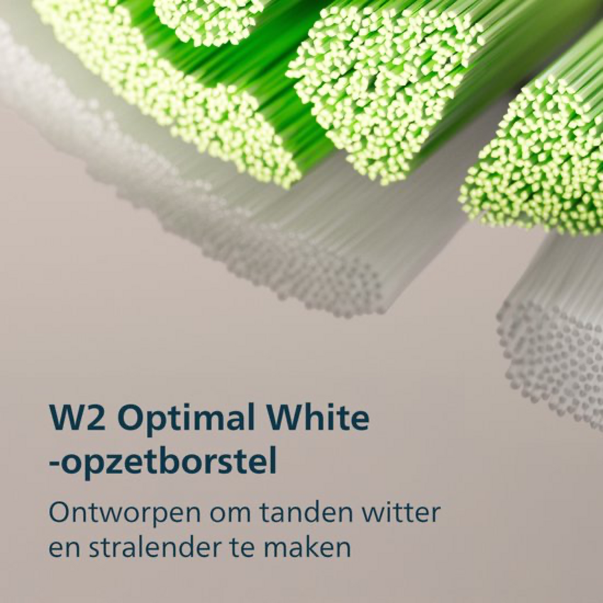Philips Sonicare 3100 Lila HX4033/27 + Reisetui Philips Philips Sonicare 3100 Lila HX4033/27 + Reisetui