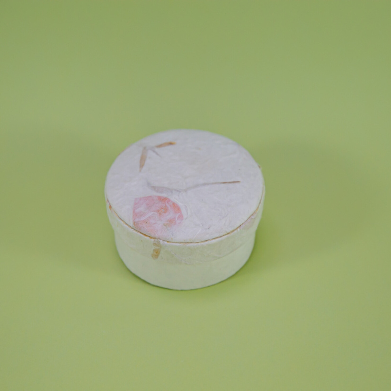 ECO-URN Runde Urnenbox mit Blütenblättern