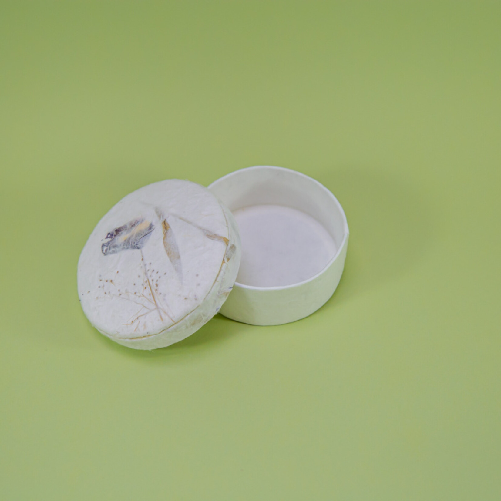 ECO-URN Runde Urnenbox mit Blütenblättern (10x4cm)