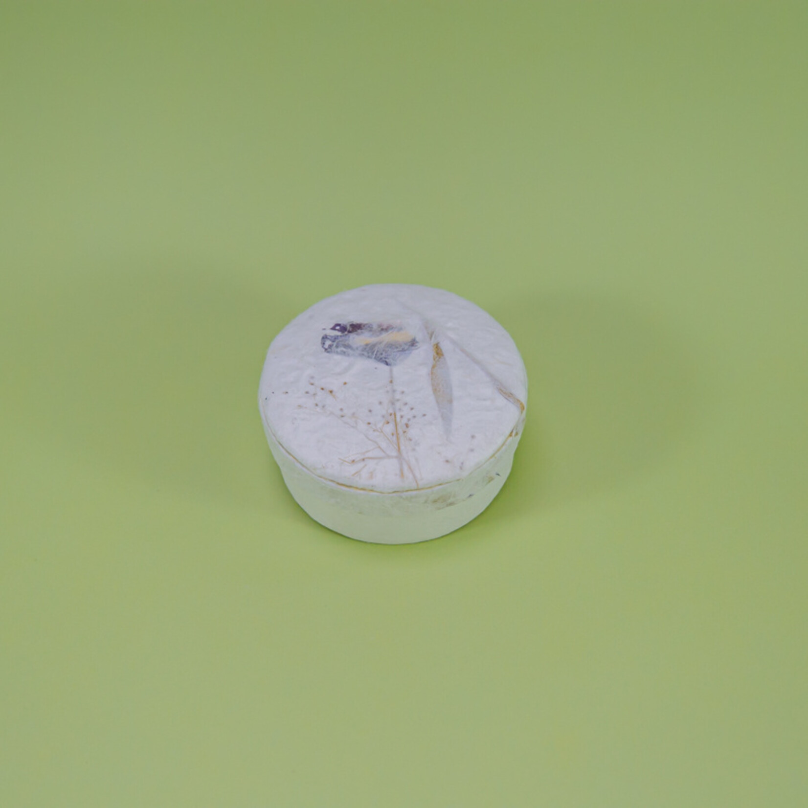 ECO-URN Runde Urnenbox mit Blütenblättern (10x4cm)