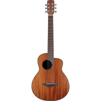 aNueNue Original Series M20 Solid Top Acoustic Guitar