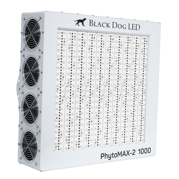 Black Dog Phytomax-2 1000