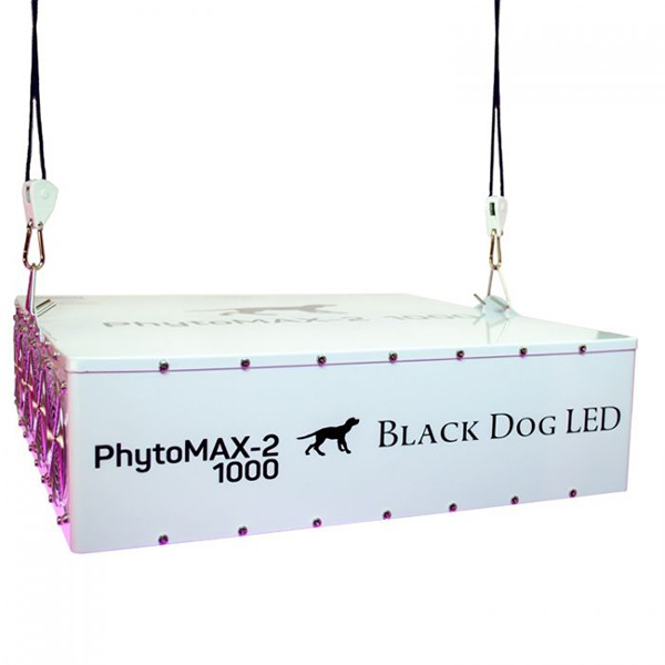 Black Dog Phytomax-2 1000