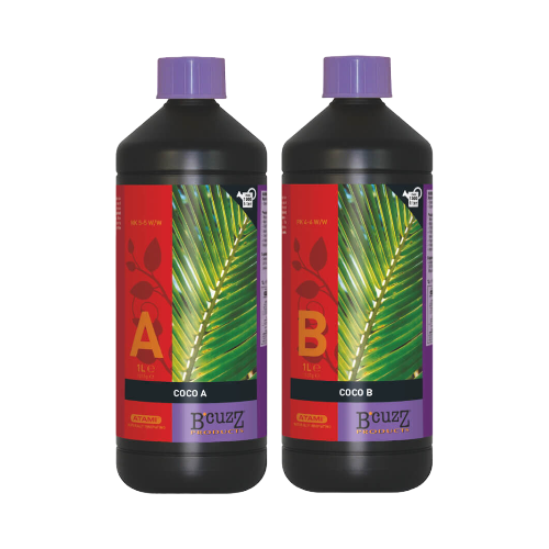 Atami Bcuzz Coco A+B 1 Liter