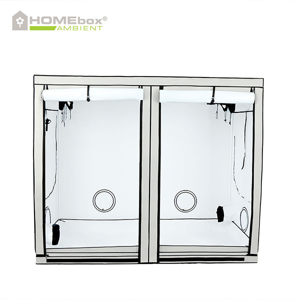 Homebox Ambient R240 240x120x200cm