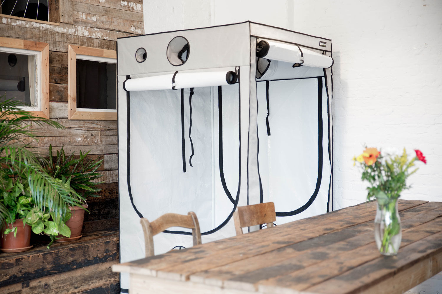 Homebox Ambient R240 240x120x200cm