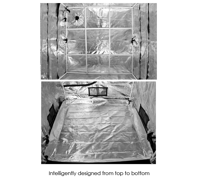 Gorilla Kweektent (GGT55 SH) 152x152x150cm
