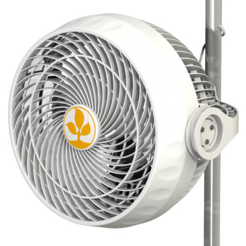Secret Jardin Monkey Fan (23cm 30w)