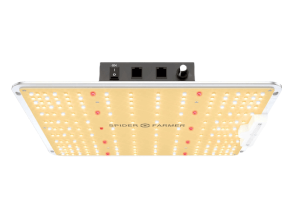 Bonanza Kweekkast - Spider Farmer SF1000 (1m²)