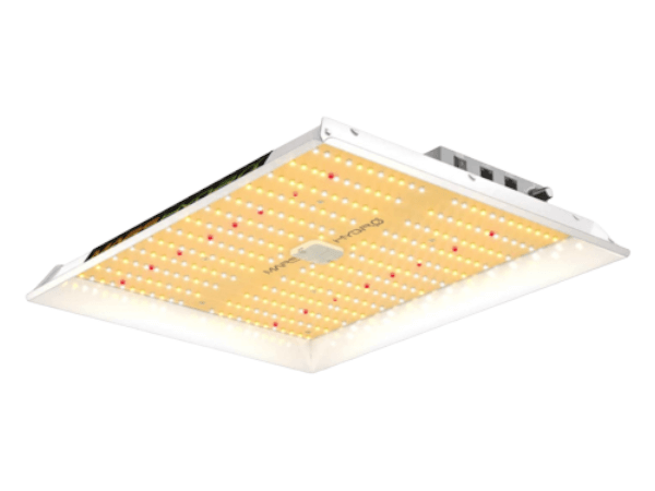 Bonanza Kweekkast - Mars Hydro TS-1000 (1m²)