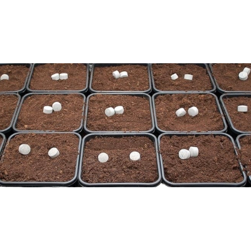 BioTabs Buffertabs 100 Stuks