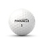 Pinnacle Soft 15 Ball Pack Wit