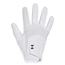 Under Armour Iso Chill Glove - Wit Leer