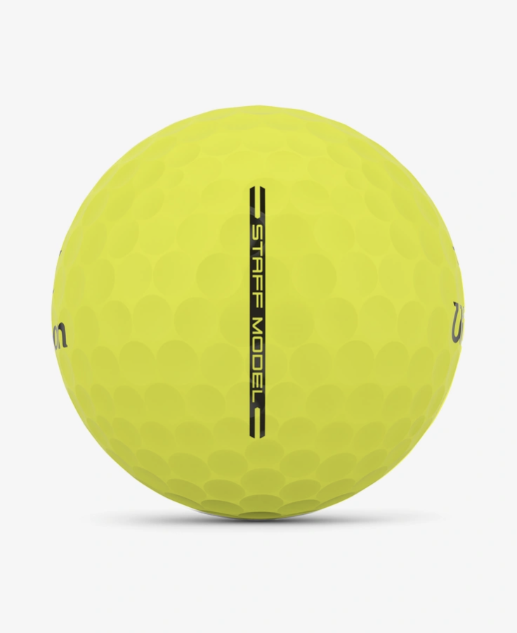 Wilson Staff Model