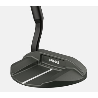 Ping Ping PLD MILLED 2024 OSLO 3