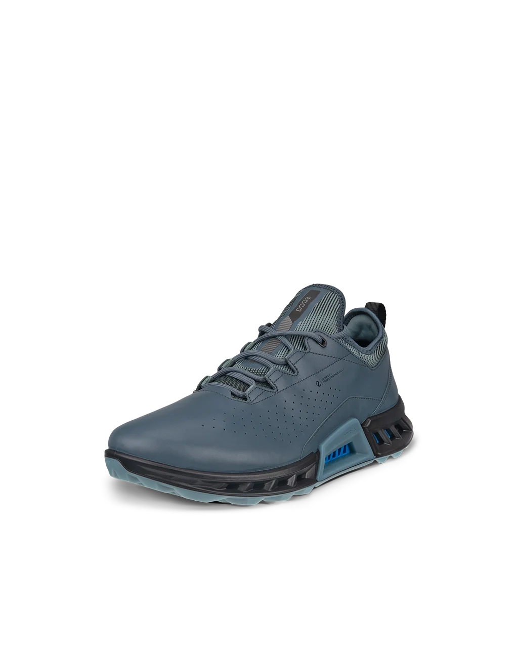 ECCO Golf BIOM C4 Shoe Gtxs - PAVEMENT