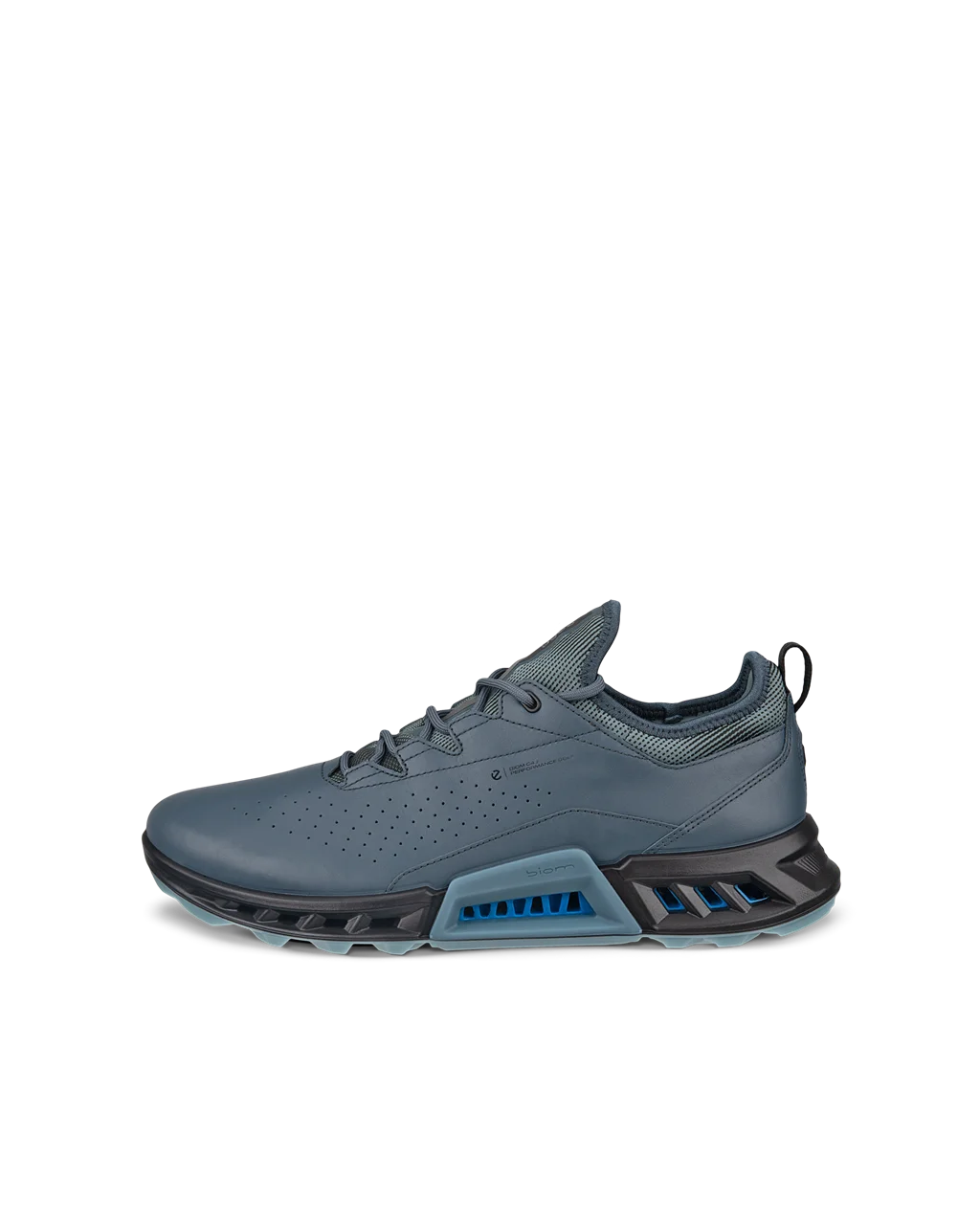 ECCO Golf BIOM C4 Shoe Gtxs - PAVEMENT
