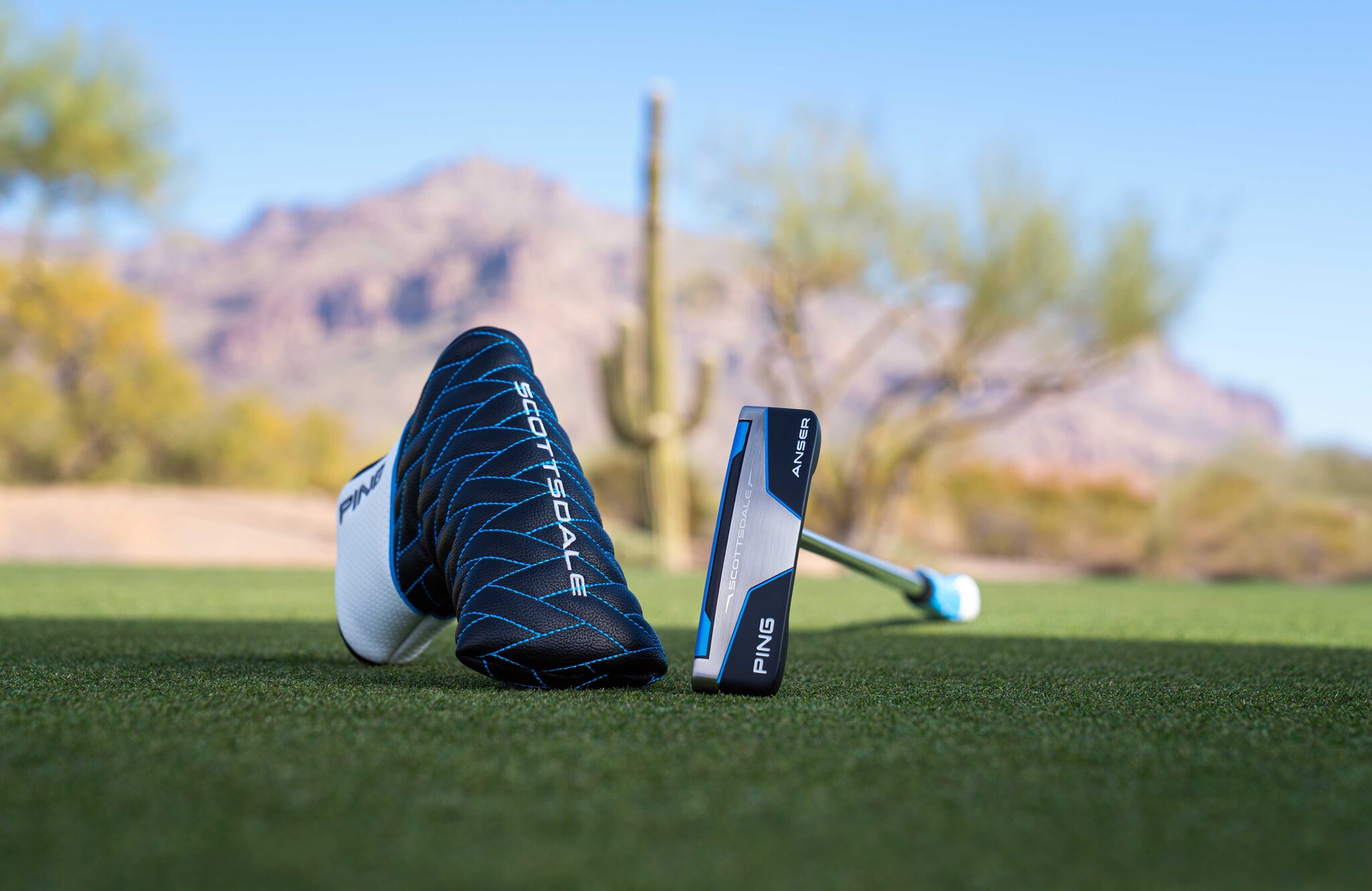 Ping Scottsdale – Anser