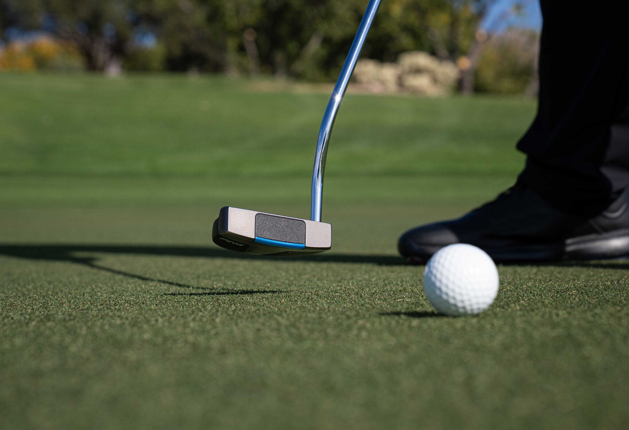 Ping Scottsdale – DS72