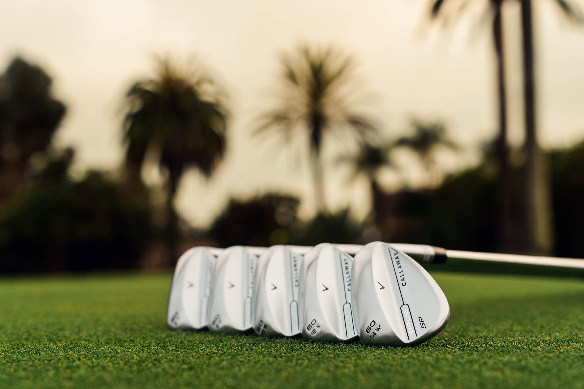 Callaway Opus SP - Brushed Chrome