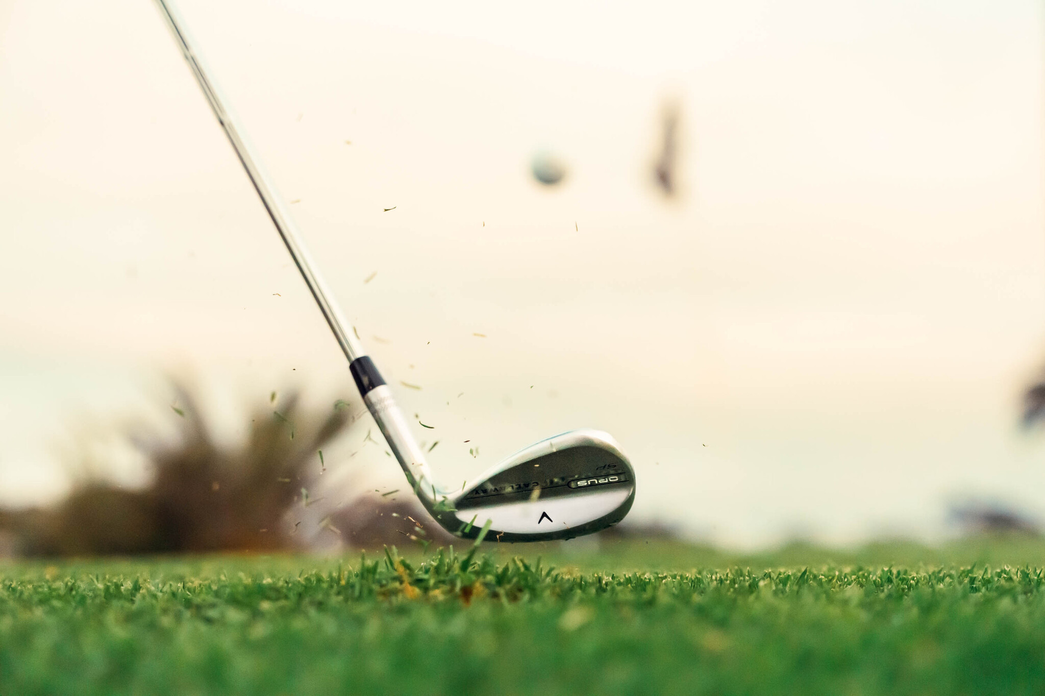 Callaway Opus SP - Brushed Chrome