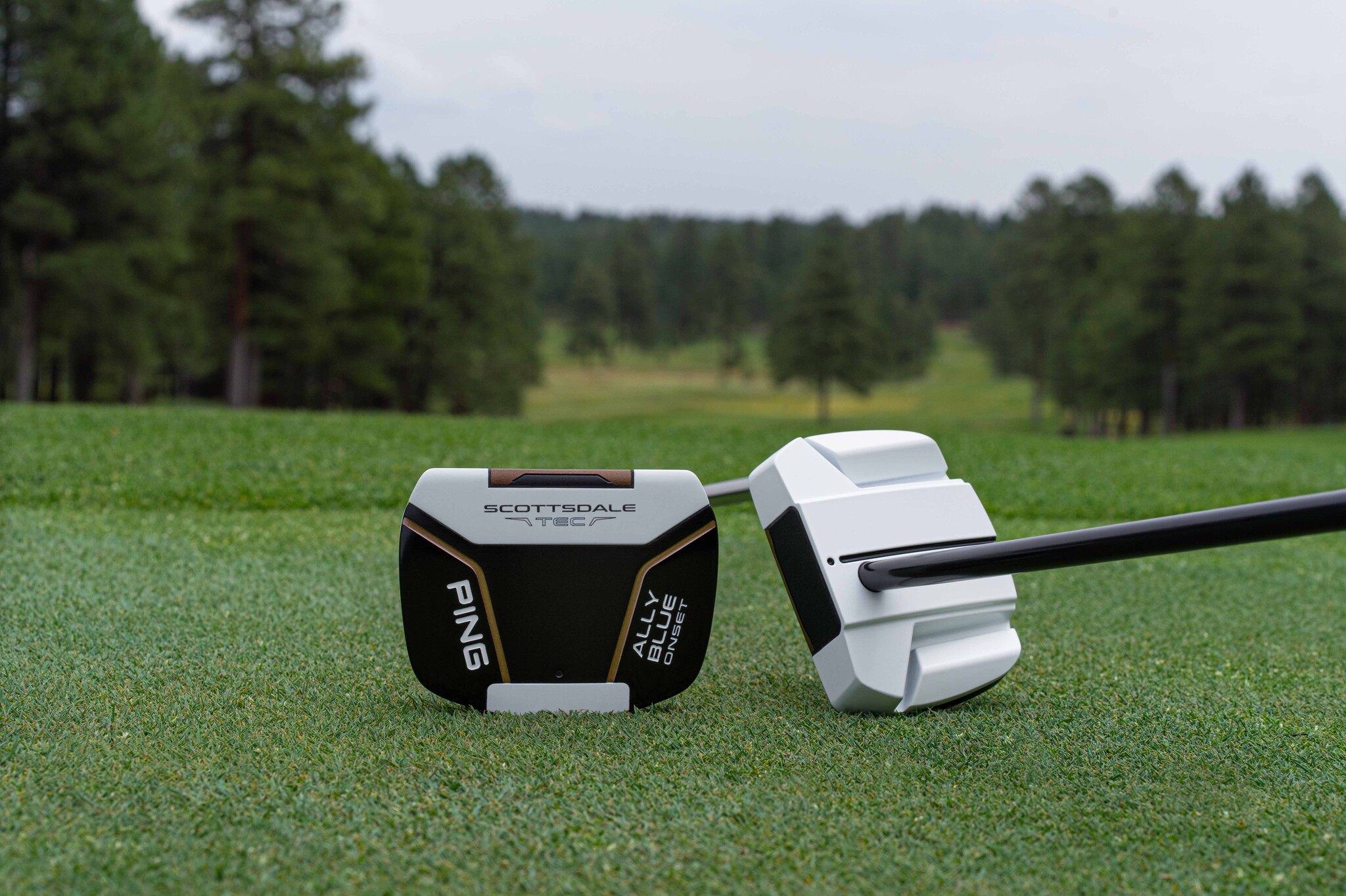 26 Ping Scottsdale Tec Putter – Ketsch Onset