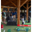 Golfdag 2026 | 29-08-2026 | Scramble 4 ballen | 9 Holes + BBQ