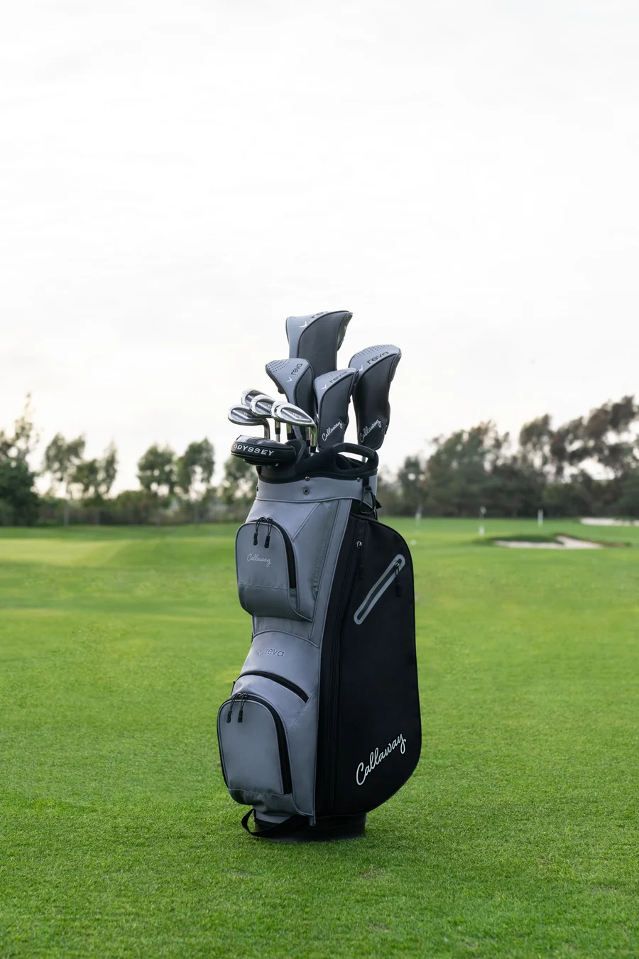 Callaway Reva 11-Piece complete set Dames