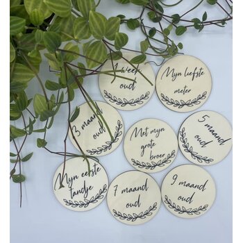 Feeërieke | Mijlpaalcirkel Hout