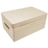 Opbergkist rechthoek klepdeksel (klein/30cm)