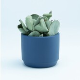 Bloempotje Keramiek Marineblauw