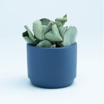 Bloempotje Keramiek Marineblauw
